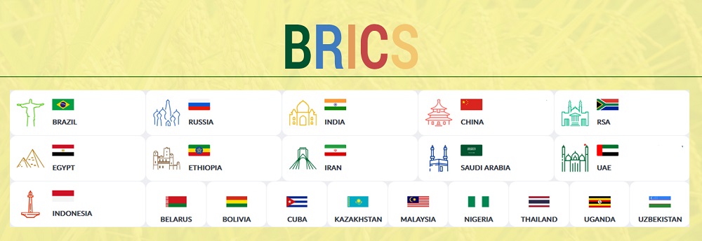 BRICS (1121_0_1.jpg