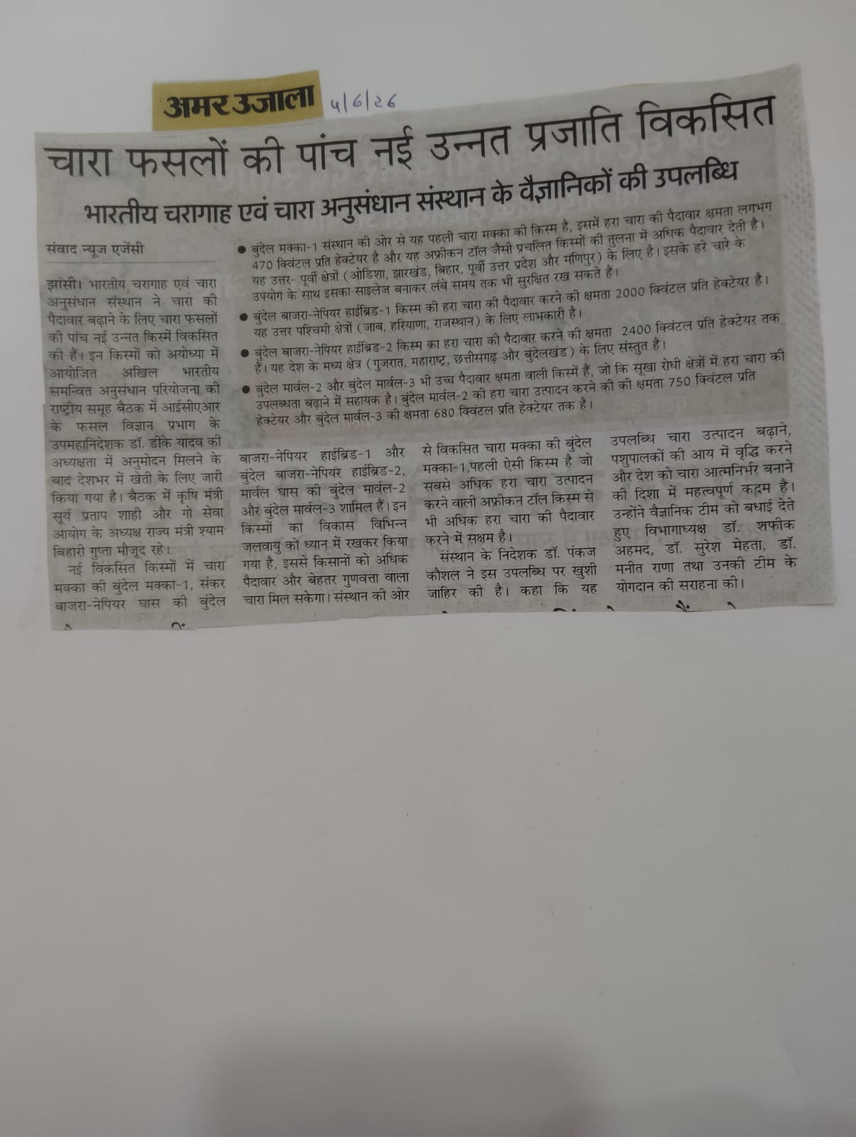 चारा फसलों की पांच नई उन्नत प्रजाति विकसित