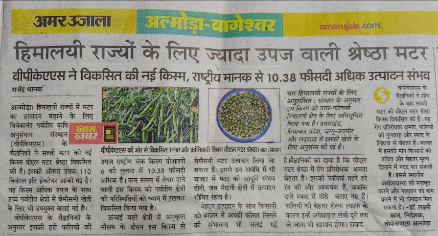 हिमालयी राज्यों के लिए ज्यादा उपज वाली श्रेष्ठा मटर