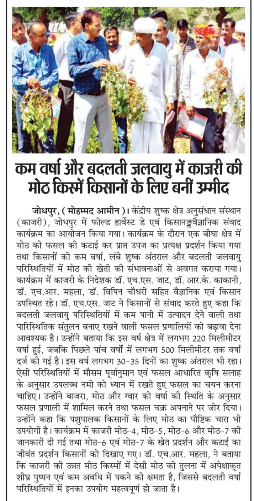 कम वर्षा और बदलती जलवायु में काजरी की मोठ किस्में किसानों के लिए बनीं उम्मीद