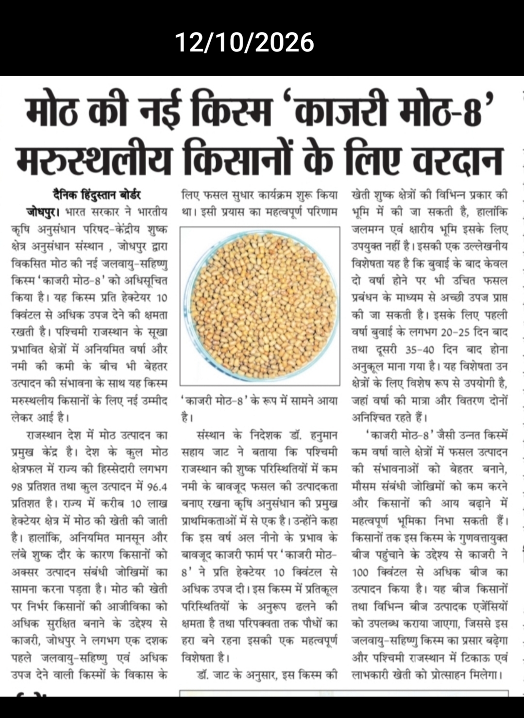 मोठ की नई किस्म 'काजरी मोठ-8' मरुस्थलीय किसानों के लिए वरदान