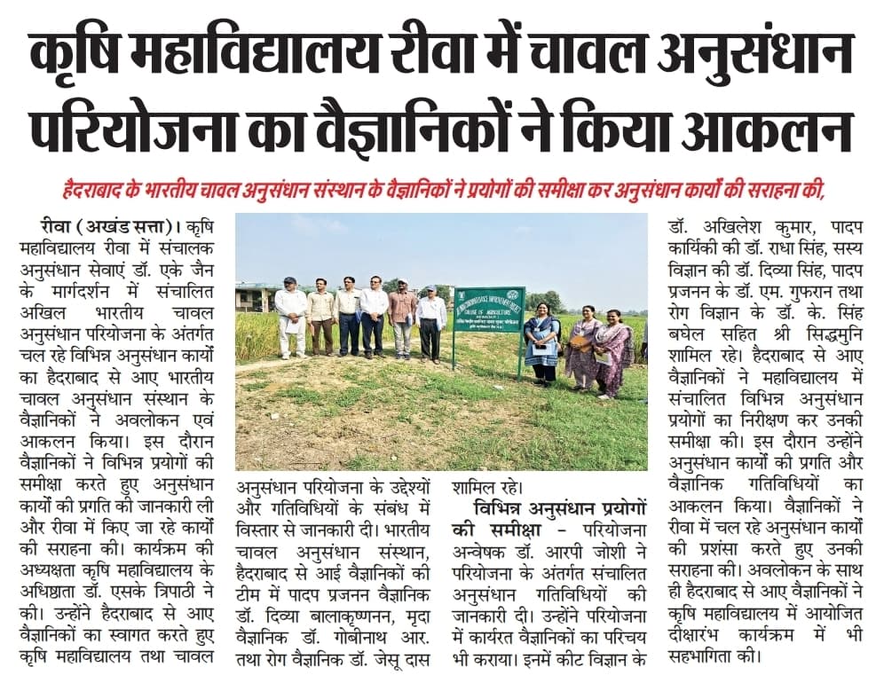 कृषि महाविद्यालय रीवा में चावल अनुसंधान परियोजना का वैज्ञानिकों ने किया आकलन