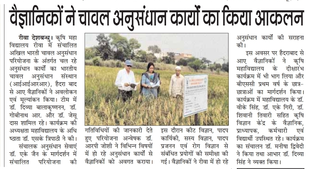 वैज्ञानिकों ने चावल अनुसंधान कार्यों का किया आकलन