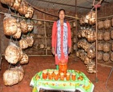 Mushroom Cultivation - A way towards self-reliance 03