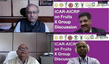 X-Group-Discussion-ICAR-AICRP-Fruits-01