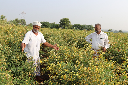 GI Tagging and Value Addition helps Production Enhancement and Export of Kalaburagi Tur Dal in Karnataka