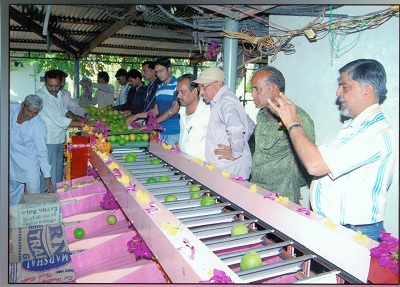 ciae_success_story_commercial_scale_fruit_grader_2_0_0.jpg
