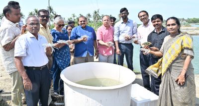 ICAR-CIBA, Chennai Demonstrates India’s First Blue Swimmer Crab Farming Technology Using its own Hatchery-Produced Seed and Formulated Feed