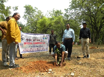 Plantation Drive Organised at ICAR-CRIDA under Special Campaign 5.0