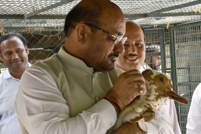 DG ICAR Reviews Research and Farmer-Oriented Initiatives at ICAR-CIRG, Mathura