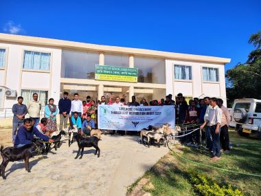 ICAR-NRC on Mithun and KVK Karbi Anglong Distribute 120 Assam Hill Goats to SC Farmers