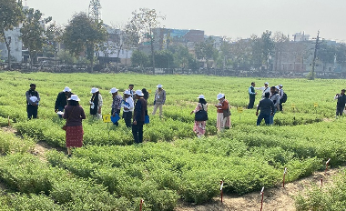 Rabi Pulse Scientists’ Meet-cum-Field Day Organized
