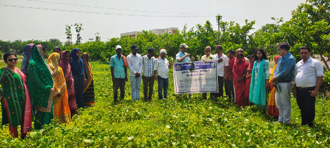 ICAR-MGIFRI, Motihari and KVK Piprakothi strengthen fertilizer dealers’ capacity on integrated nutrient management under Khet Bachao Abhiyan