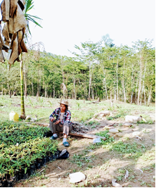 From Subsistence to Sustainability: A Woman-Led Integrated Farming Success Story from Longleng, Nagaland