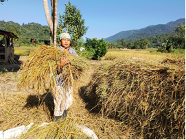 From Subsistence to Sustainability: A Woman-Led Integrated Farming Success Story from Longleng, Nagaland