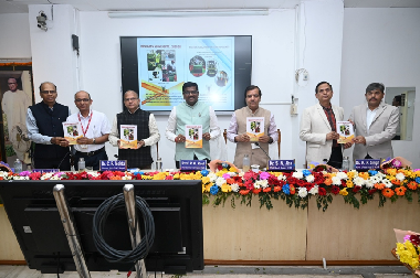 XVII Annual Workshop of AICRP on Ergonomics and Safety in Agriculture and Allied Sector Held at OUAT, Bhubaneswar