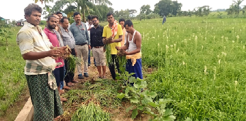 Fragrance of Fortune Lies with Tuberose Farming: The Inspiring Transformation of Ralaba into Odisha’s Flourishing ‘Fragrance Village’