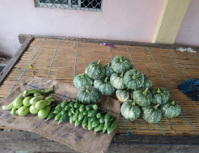 From Coconut-Centric Farming to Integrated Agriculture: A Car Nicobar Success Story