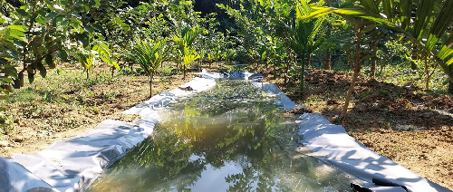 Nabanidhi Gogoi: Transforming Integrated Farming into a Profitable Rural Enterprise in Assam