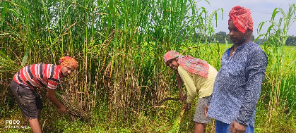 A Successful Journey from Scholar to Dairy Entrepreneur