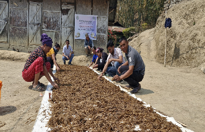 From Unemployment to Enterprise: Shengzii SHG’s Mushroom Cultivation Success Story