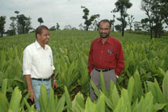 ss-26-11-2012-2