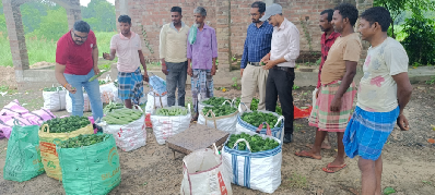 From Fragmented Farming to Tech-Enabled Vegetable Clusters: A Policy Model for SC Farmer Empowerment