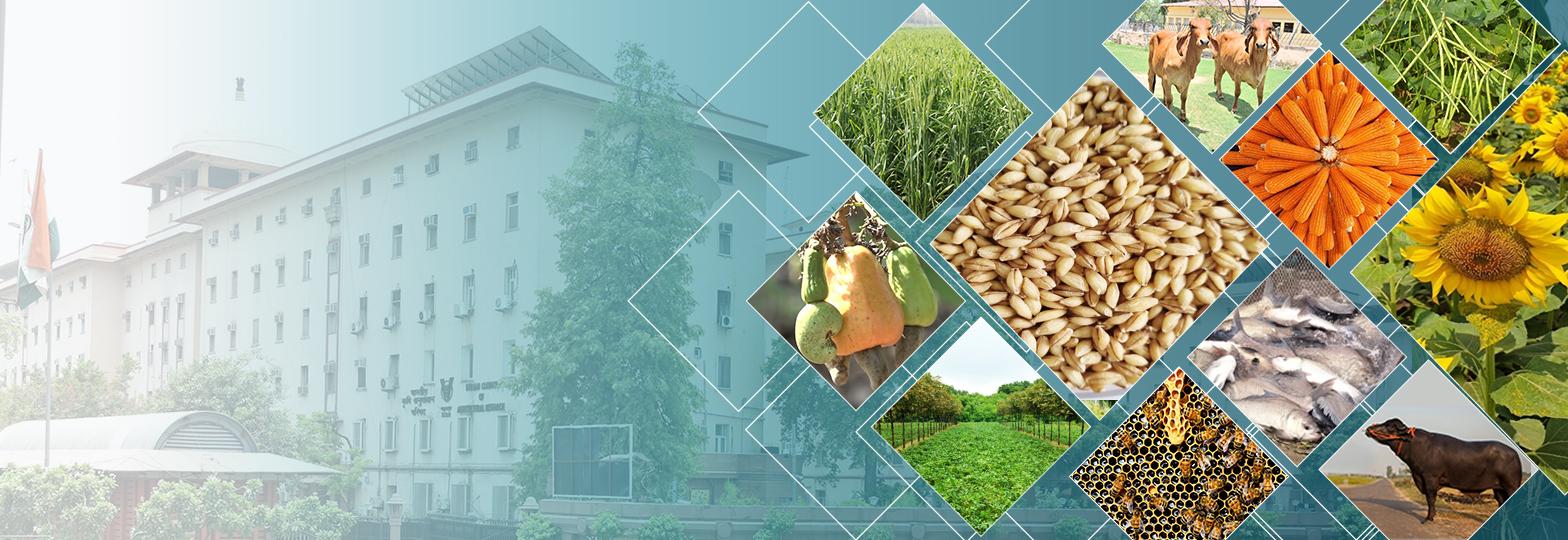 ICAR Website New banner